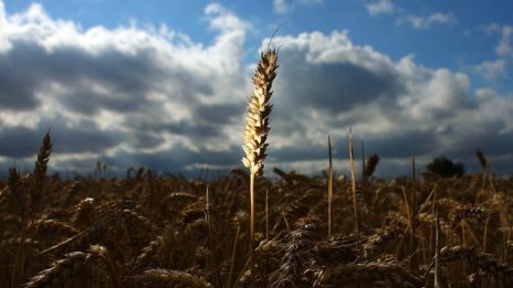 Климатичните промени може да пресушат пазарите на енергия и храни в Европа