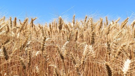 Земеделците ще бъдат подпомагани при сегашните условия и през следващите 2 г.