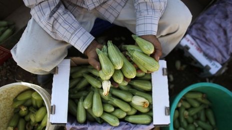 Пада руското ембарго за продукти за детски храни