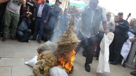 Продължават изследванията на животните в Югоизточна България