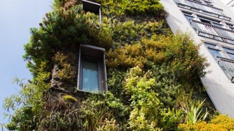 Ландшафтната архитектура като решение на проблеми от климатичните промени