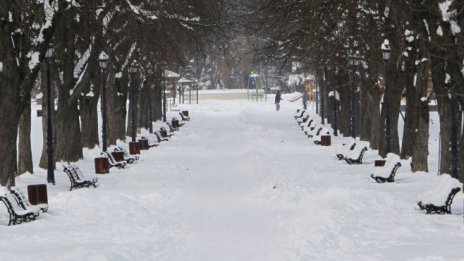 Фандъкова: Няма да платим на фирмите, които не си свършиха работата