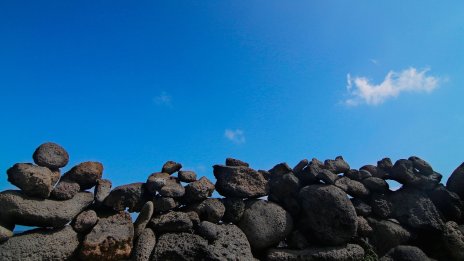 Картинка на камък за 200 хил. долара, или завръщането на меме манията на криптопазара