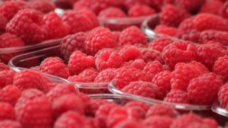 ОСП трябва да докаже, че си струва изразходваните средства