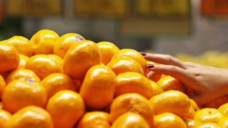 Цитрусовите плодове подхранват поскъпването на храните