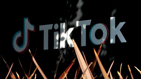 TikTok загуби първата част от битката си с ЕС