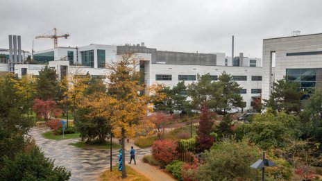 Япония и Нидерландия са готови да съдействат на САЩ в ограничаването на Китай на пазара на чипове