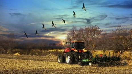 Консолидираната печалба на Агрия Груп нараства с 59% през 2017 г.