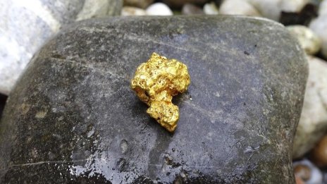 Приходите на канадската Dundee от българския ѝ бизнес намаляват  