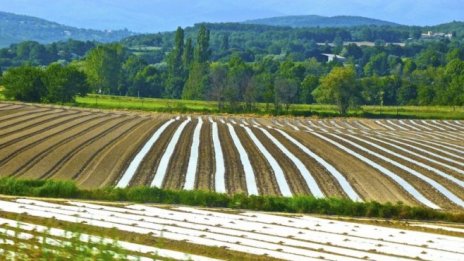 "Зенит имоти" получи почти 286 хил. лева за земите си в Северозападна България