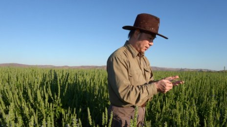 Ще направи ли пандемията хората по-отговорни към природата?