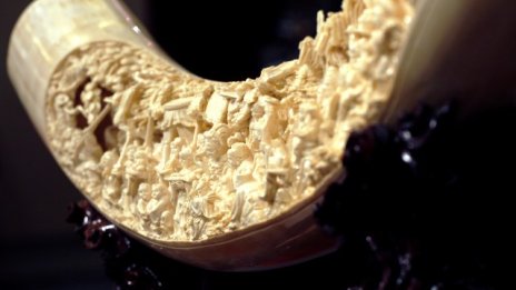 Нов закон за продажбата на слонова кост в Ню Йорк повдига редица въпроси