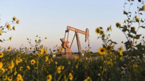 ОПЕК повиши прогнозите си за ръста на търсенето на петрол за 2017 и 2018 г.