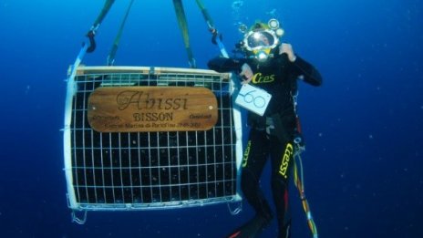 Винарна на дъното на морето