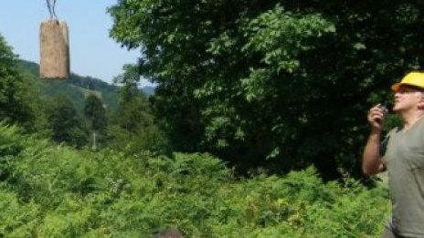 България има потенциал за изграждане на 100 малки централи на биомаса