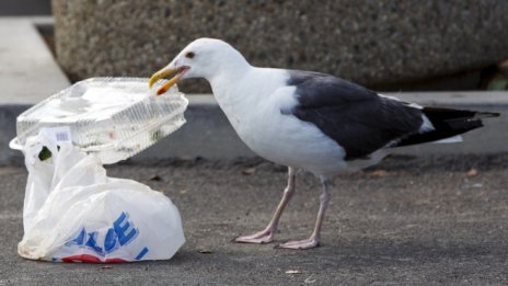 ЕС иска да рециклира по-добре пластмасовите си опаковки