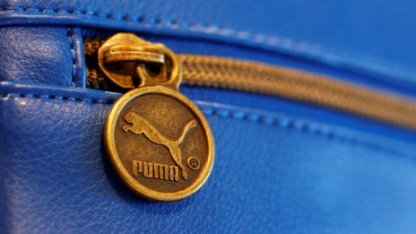 Дивата спортна котка Puma празнува 70 години