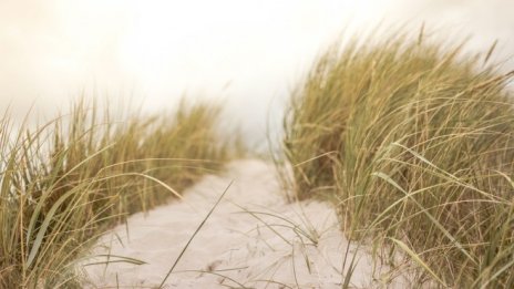 Строителството край къмпинг "Арапя" не е в защитена зона