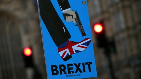Твърд Brexit ще остави Великобритания без регулатор по екологичните проблеми