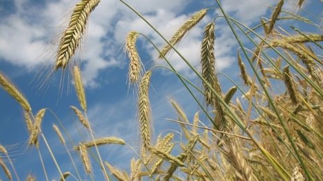 Българските производители вече може да изнасят растителни продукти за Виетнам