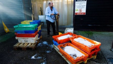 Франция и Великобритания влязоха в спор заради разрешителните за риболов