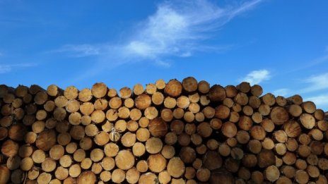 Недостигът на дървен материал в САЩ започна да преобръща пазара
