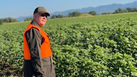 Проверките на БАБХ и НАП за формирането на цените на храните ще приключат до края на месеца