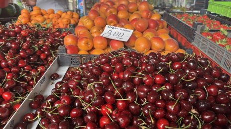 Цените на основните хранителни стоки у нас продължават да спадат