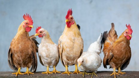 „Градус“ продължава с обратното изкупуване на акции и вече притежава 1,37% от капитала