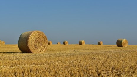 "Елана Фонд за земеделска земя" е купил 628 дка към края на март