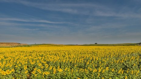 Политическата криза блокира работата по важни закони за агробизнеса
