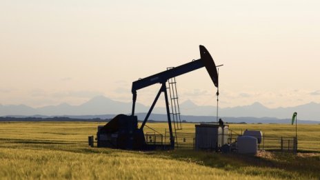 Citigroup: Петролът може да достигне 20 долара за барел