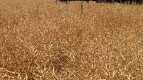 За седем години стопанствата са удвоили размера на обработваната земя