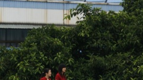 Microsoft проверява слухове за опити за самоубийства във фабрика на Foxconn 