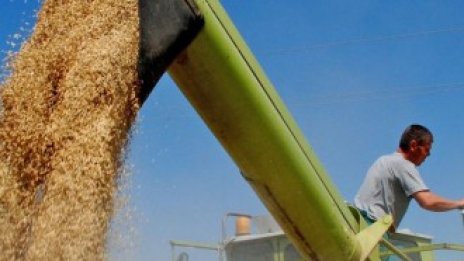 Зърнопроизводителите първи пратиха становището си за агрополитиката след 2014 г.