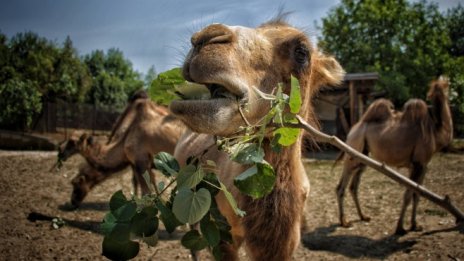 Кадър на деня за 26 юли