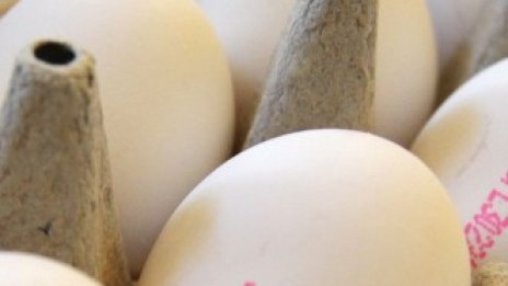 Агроминистърът е убеден, че поскъпването на храните преди Великден било овладяно