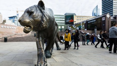 Как Tiger промени правилата, по които работи рисковият капитал