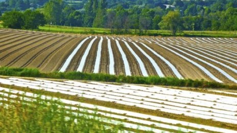 България е втора в ЕС по ръст на сертифицираните площи за биоземеделие