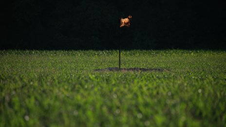 Финансиране на изкопаеми горива – еднопосочен билет към икономически колапс