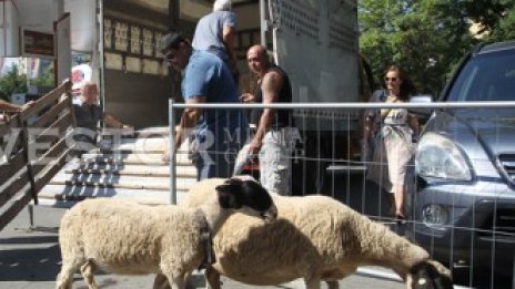 Кадър на деня за 5 август