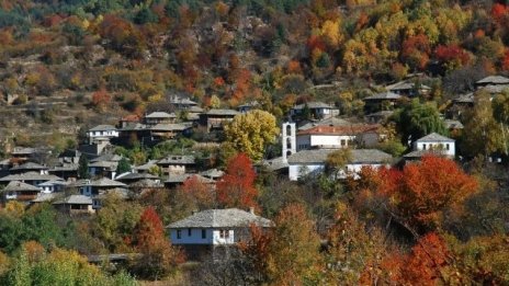 Защо бизнесът с къщи за гости иска специални програми за подкрепа?