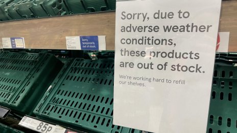 Великобритания: След зеленчуците дефицитни стават ябълките и крушите 