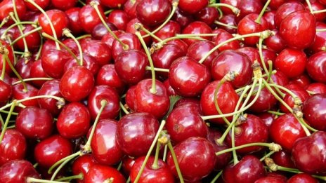 Готвят нови мерки срещу изкуствено създадени условия за получаване на агросубсидии