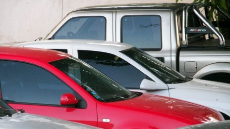 Цветанка Крумова: Цената на ГО трябва да скочи до 6 пъти 