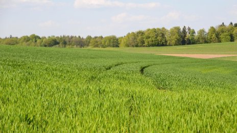 Брюксел се готви за есенна битка за ограничаване на субсидиите за големите ферми