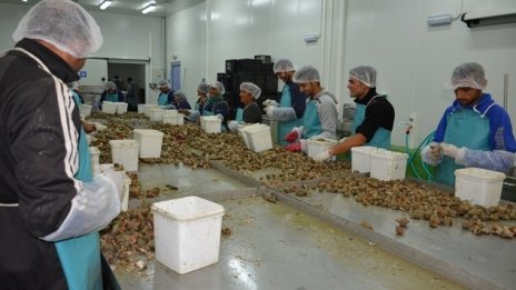 Програма "Рибарство" ще бъде изпратена за одобрение на ЕК до края на юни