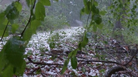 Служители на Агенцията за борба с градушките протестират заради ниски заплати*