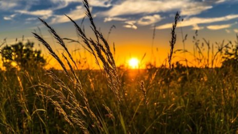 "Адванс Терафонд" е купувало земя на рекордна цена през май