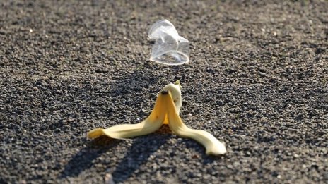 Светът е изхвърлил близо 1 млрд. тона храна през 2019 г.